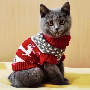 Christmas Cat Sweater