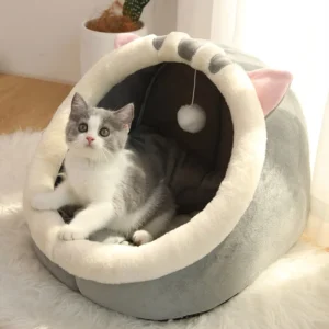 Cat bed