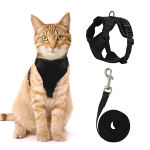 Cat Harness
