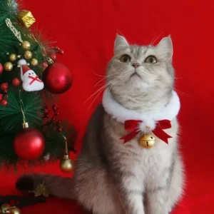 Christmas Cat Collar