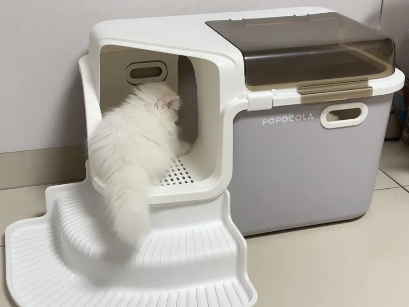 Litter box 13 Litter box - Image 13